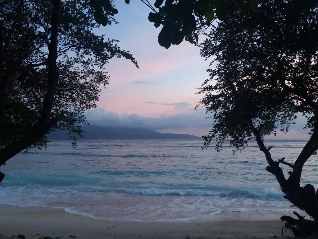 Cotton Tree Cottages Gili Trawangan Buitenkant foto